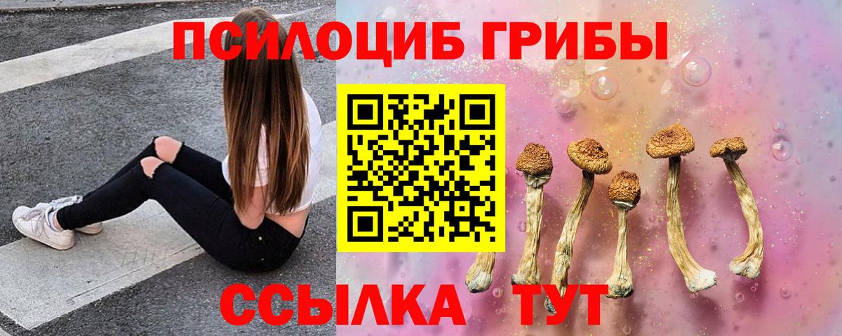 Псилоцибиновые грибы мицелий  Вход с VPN  Кашира 