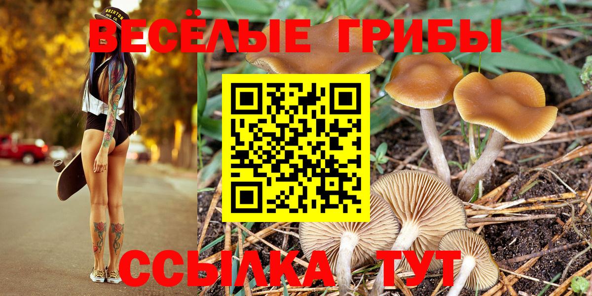 Псилоцибиновые грибы прущие грибы Кашира